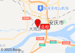 总校