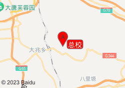 总校