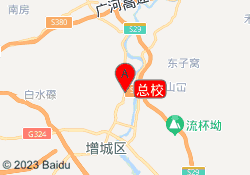 总校