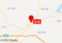 总校