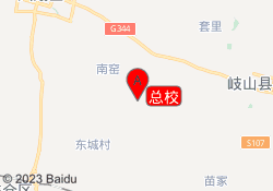 总校