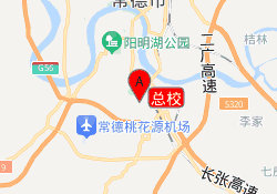 总校