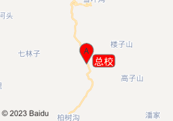 总校