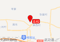 总校