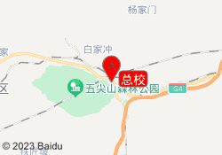 总校