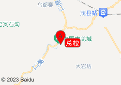 总校