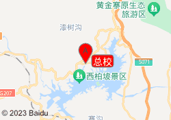 总校