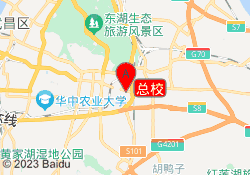 总校