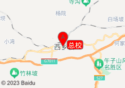总校