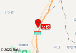 总校
