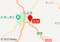 总校
