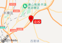 总校
