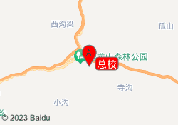 总校