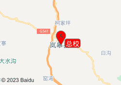 总校