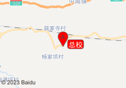 总校