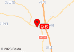 总校