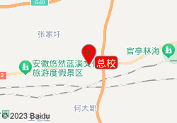总校