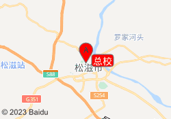 总校