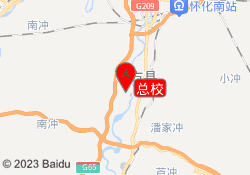 总校