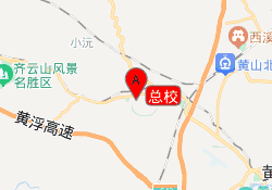 总校