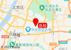 总校