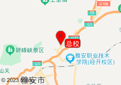 总校