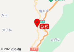 总校