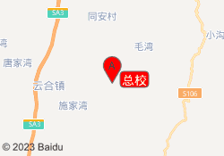 总校