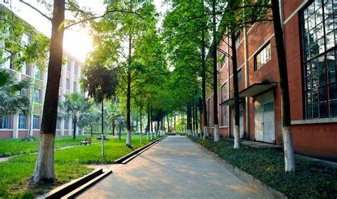 远东国立交通大学学校专业介绍