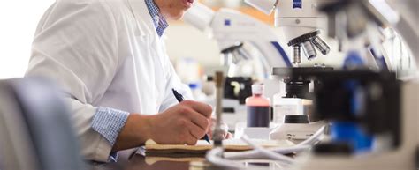 维克森林大学生物化学与分子生物学专业介绍