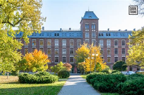 波兰罗兹大学学院及专业设置介绍