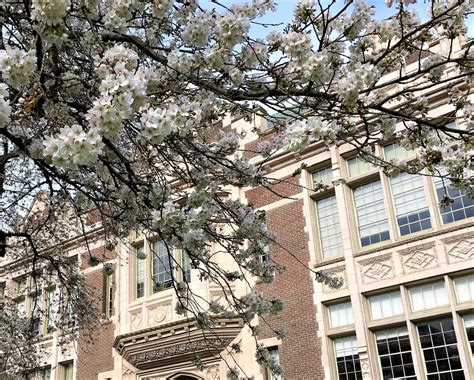 2020年怎么申请华盛顿大学？