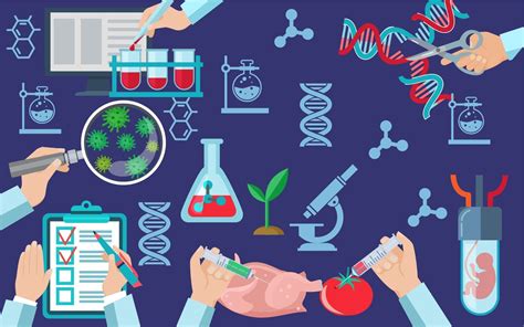 南佛罗里达大学生物技术专业介绍