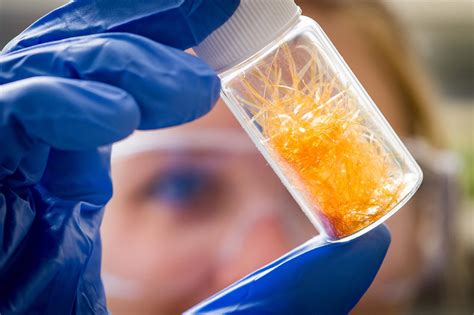 2019圣母大學(xué)化學(xué)與生物分子工程專業(yè)詳解