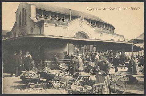 法國南特大學(xué)專業(yè)設(shè)置詳解