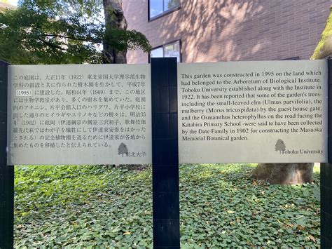 威尼斯大学院系和课程设置详解