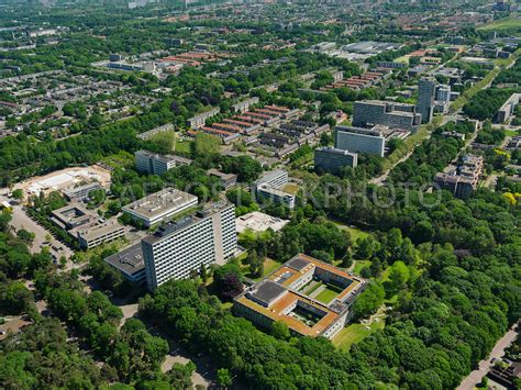 荷兰蒂尔堡大学的概况