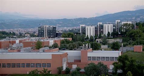 意大利卡拉布里亚大学的基本介绍