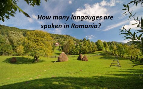 罗马尼亚留学 罗马尼亚教育有着较为悠久的历史