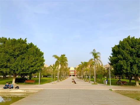 西班牙名校简介 阿利坎特大学