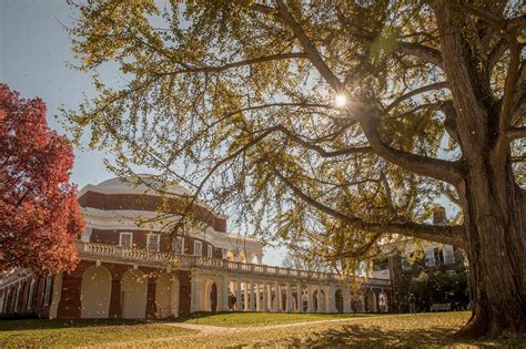 美国弗吉尼亚大学基本概况