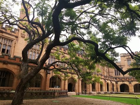 澳洲悉尼大学泰勒学院预科课程的五大类别