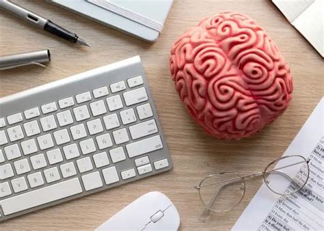 新加坡管理学院信息传播和心理学双主修专业介绍