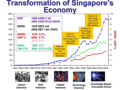 新加坡管理学院经济学专业的课程结构
