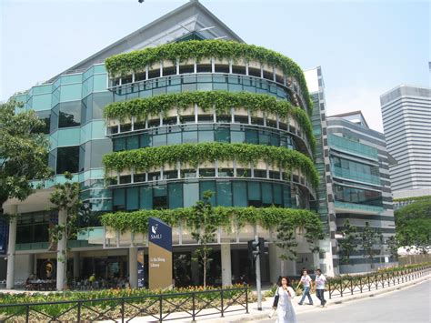 新加坡管理大学会计与工商管理专业的课程设置