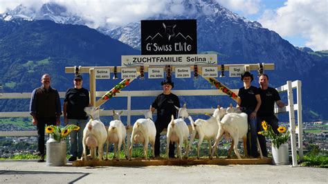 瑞士硕士申请攻略 怎样去瑞士名校读研