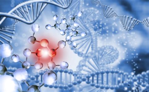 圣路易斯大学生物化学与分子生物学专业详解