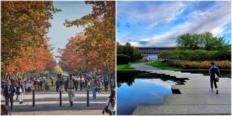 加拿大大学有几个入学时间