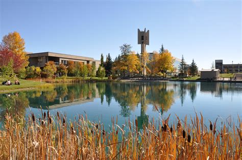 皇家山大学简介