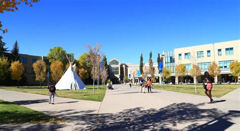 2017年加拿大皇家山大学专业解析